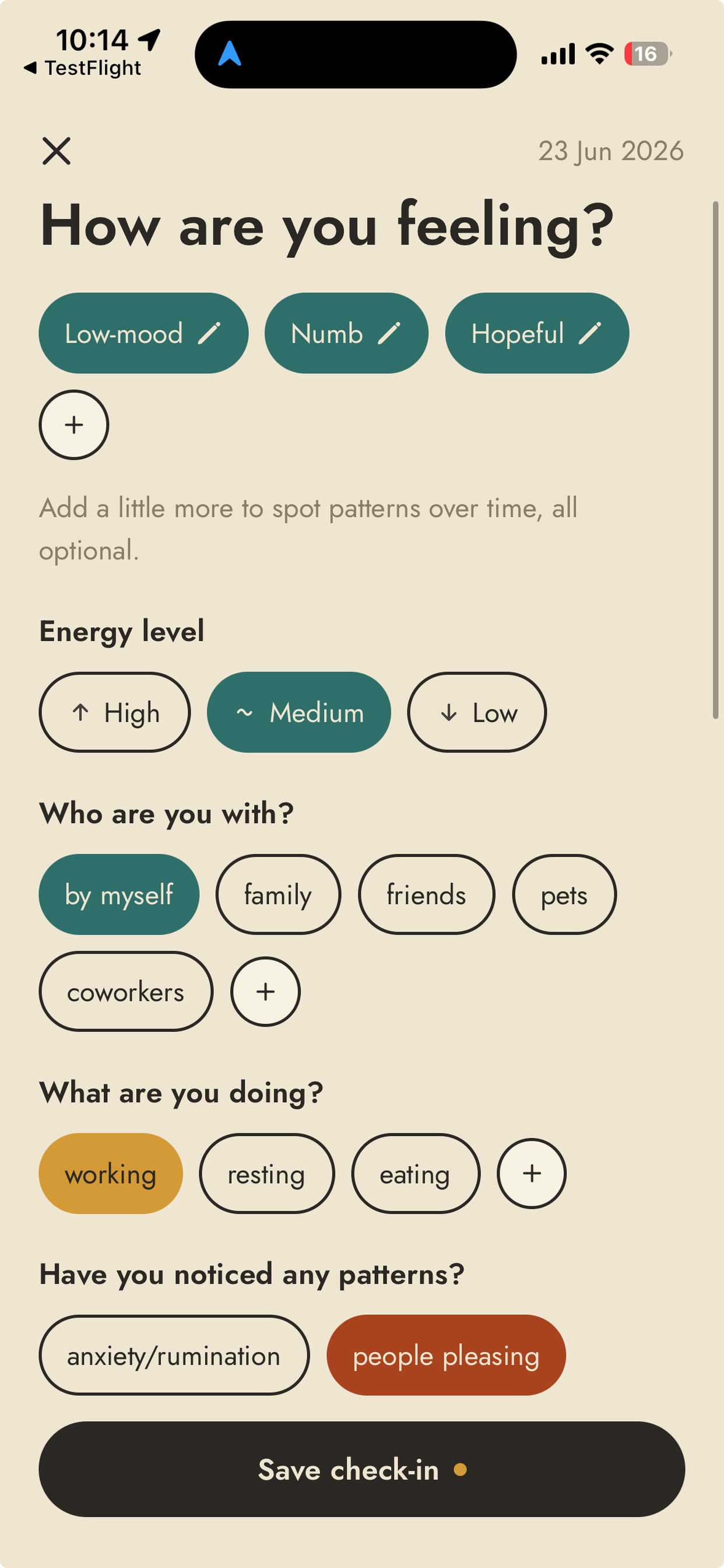 Bamboo detailed mood entry with energy level, company and activity tags