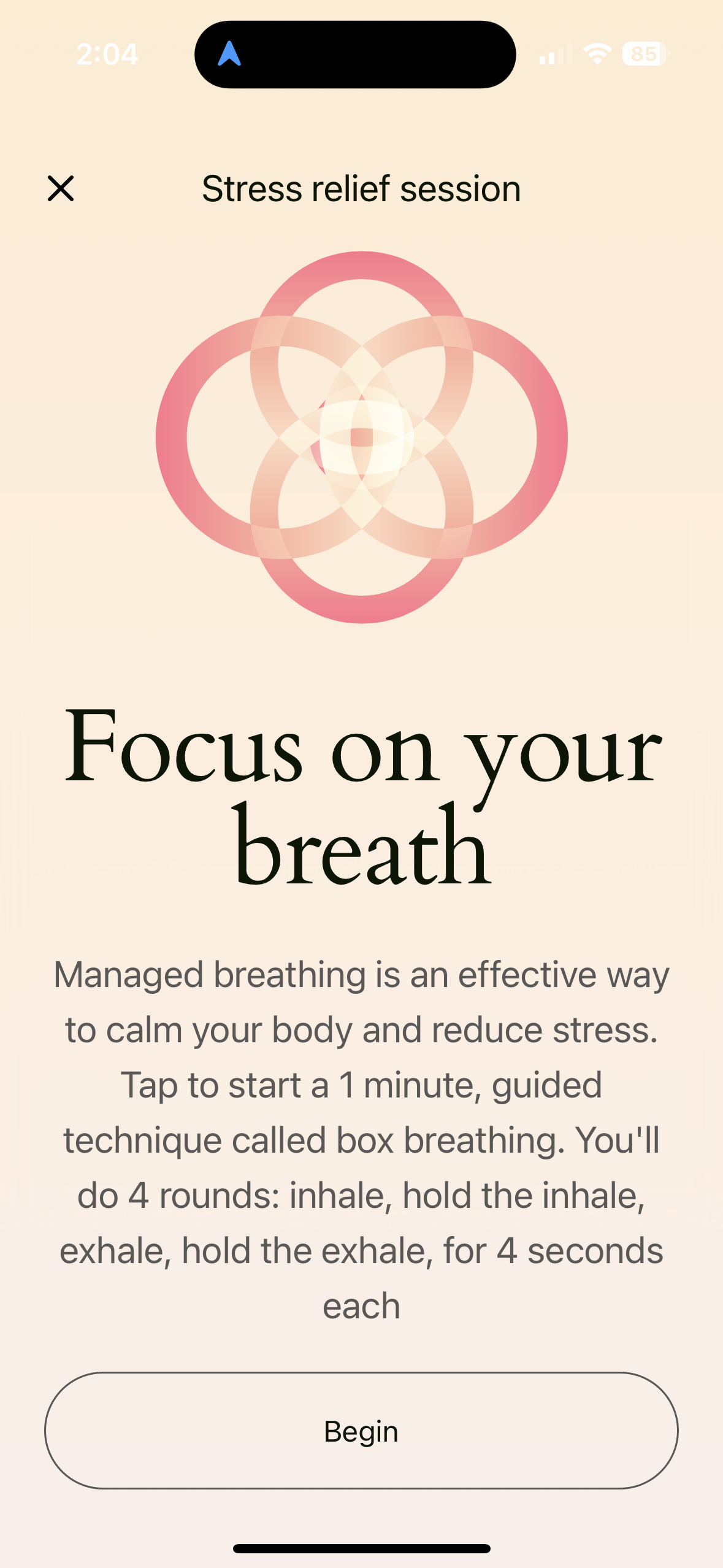 Bonsai stress relief session with a breathing visual and a focus on your breath prompt