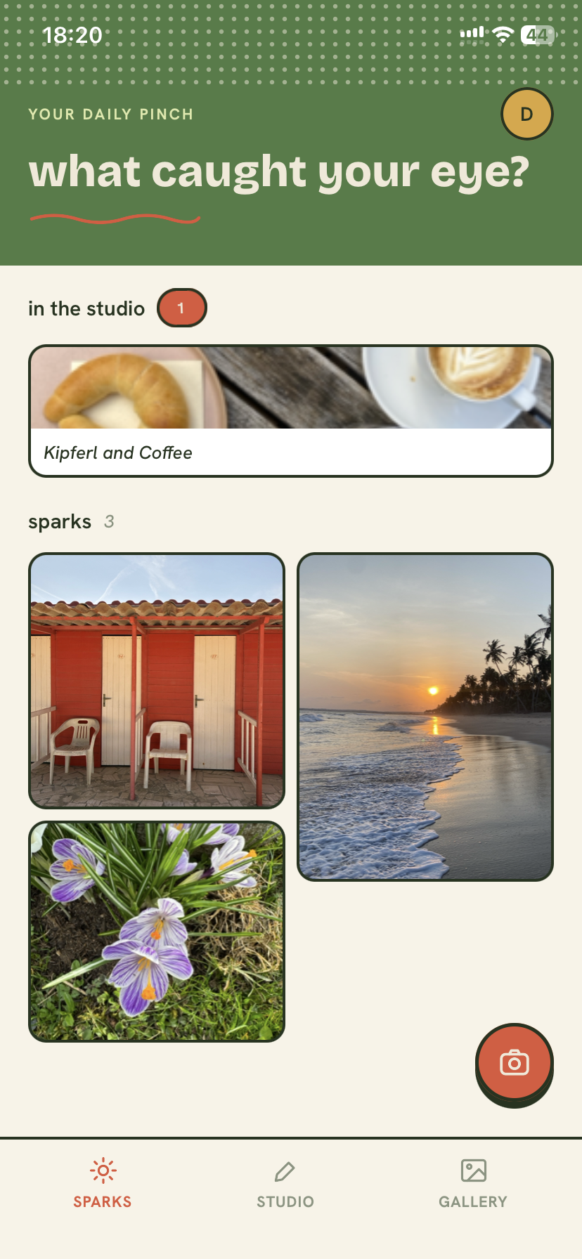 Risoma daily sparks home screen asking what caught your eye