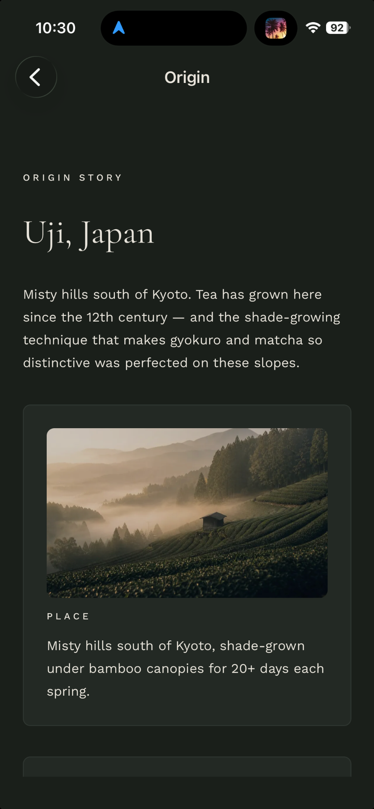 Yuno origin story for Uji, Japan with a photo of misty tea hills